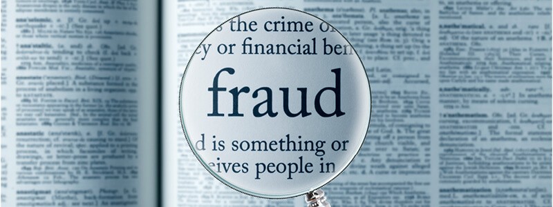 TX Senior Medicare Patrol Fraud Magnified